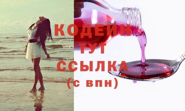 индика Нязепетровск