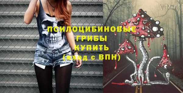 ПСИЛОЦИБИНОВЫЕ ГРИБЫ Каменка