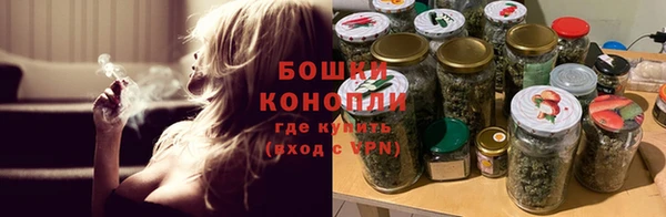 гашик Верея