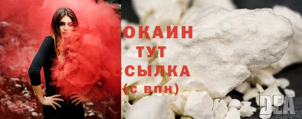 индика Нязепетровск