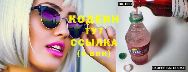 индика Нязепетровск