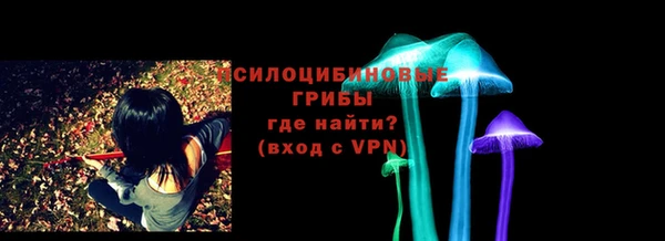 гашик Пенза