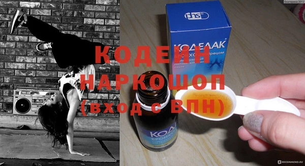 индика Нязепетровск