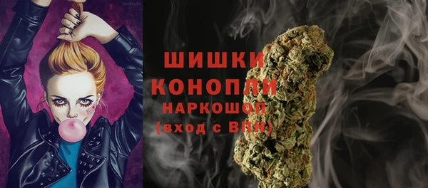 индика Нязепетровск