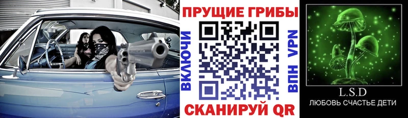 Псилоцибиновые грибы прущие грибы  где купить наркоту  Поронайск 
